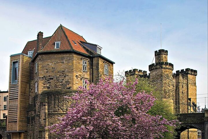 90 minute Old Newcastle Walking Tour - FREE castle entry - Photo 1 of 9